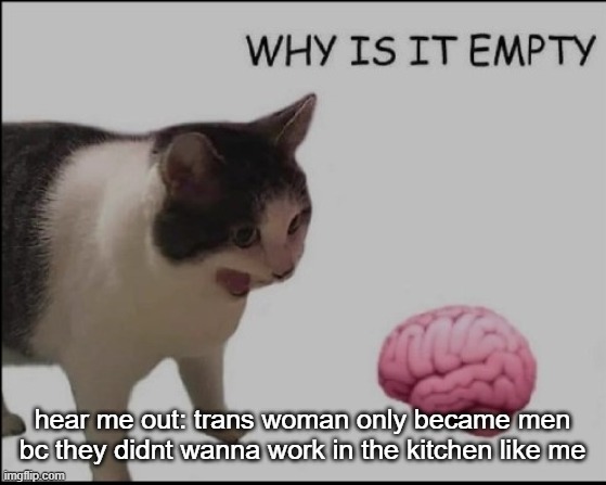 hrelp me | hear me out: trans woman only became men bc they didnt wanna work in the kitchen like me | image tagged in hrelp me | made w/ Imgflip meme maker