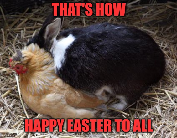 Easter | THAT'S HOW; HAPPY EASTER TO ALL | image tagged in how easter eggs are made | made w/ Imgflip meme maker