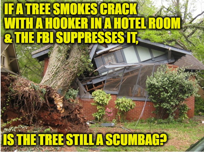 Apple doesn't fall far | IF A TREE SMOKES CRACK
WITH A HOOKER IN A HOTEL ROOM
& THE FBI SUPPRESSES IT, IS THE TREE STILL A SCUMBAG? | image tagged in hunter biden | made w/ Imgflip meme maker