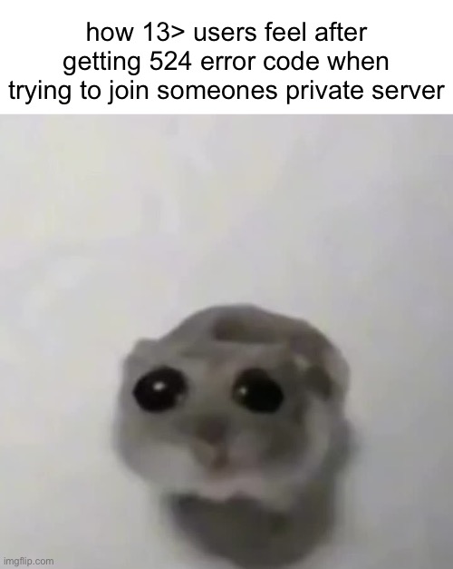 sad hamster | how 13> users feel after getting 524 error code when trying to join someones private server | image tagged in sad hamster | made w/ Imgflip meme maker