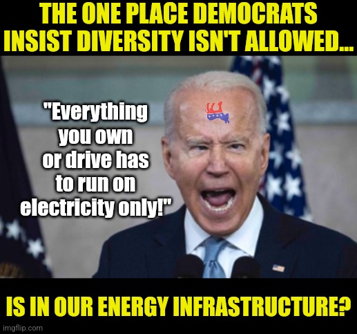One hacker is all it will take to starve you, strand you, or freeze you under Joe Biden's green energy plan. Great! | THE ONE PLACE DEMOCRATS INSIST DIVERSITY ISN'T ALLOWED... "Everything you own or drive has to run on electricity only!"; IS IN OUR ENERGY INFRASTRUCTURE? | image tagged in biden scream,liberalism,woke,stupid people,crying democrats,failure | made w/ Imgflip meme maker