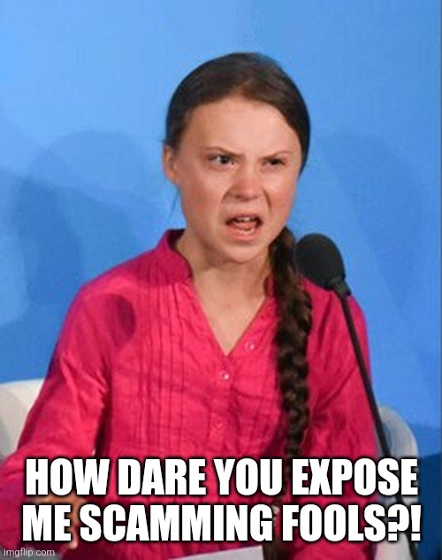 Greta Thunberg how dare you | HOW DARE YOU EXPOSE ME SCAMMING FOOLS?! | image tagged in greta thunberg how dare you | made w/ Imgflip meme maker