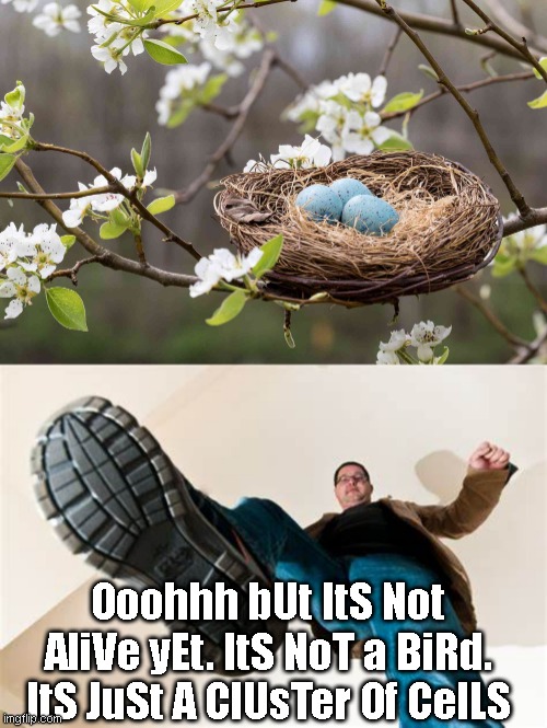Ooohhh bUt ItS Not AliVe yEt. ItS NoT a BiRd. ItS JuSt A ClUsTer Of CelLS | image tagged in liberals | made w/ Imgflip meme maker