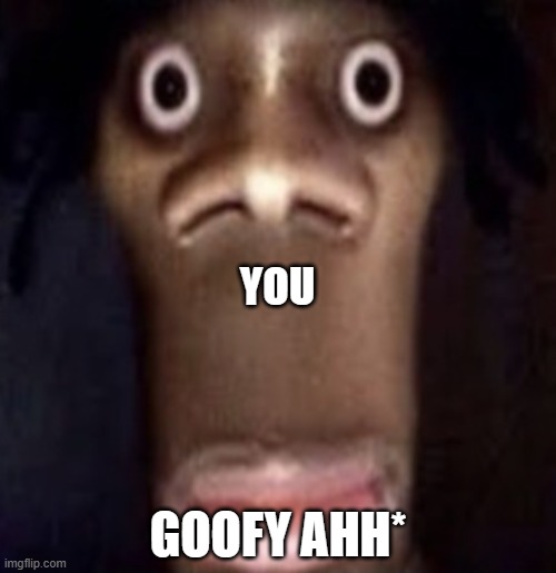 Quandale dingle | YOU GOOFY AHH* | image tagged in quandale dingle | made w/ Imgflip meme maker