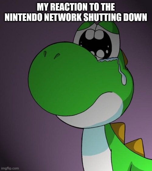 Wtf Nintendo? | MY REACTION TO THE NINTENDO NETWORK SHUTTING DOWN | image tagged in sad yoshi | made w/ Imgflip meme maker