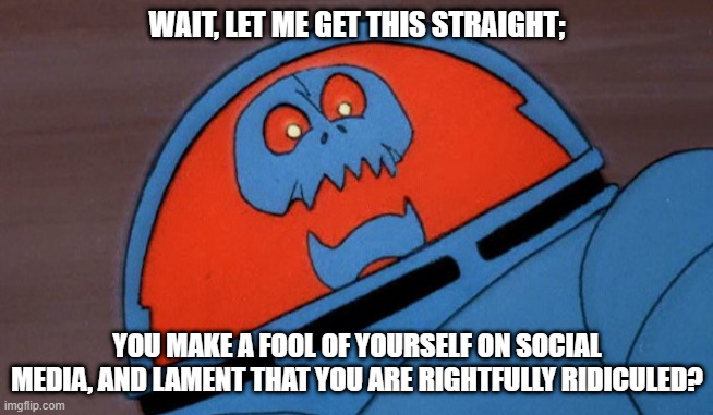 Seems obvious | WAIT, LET ME GET THIS STRAIGHT;; YOU MAKE A FOOL OF YOURSELF ON SOCIAL MEDIA, AND LAMENT THAT YOU ARE RIGHTFULLY RIDICULED? | image tagged in cynical space kook | made w/ Imgflip meme maker