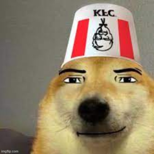 kfc | image tagged in kfc da doggo | made w/ Imgflip meme maker