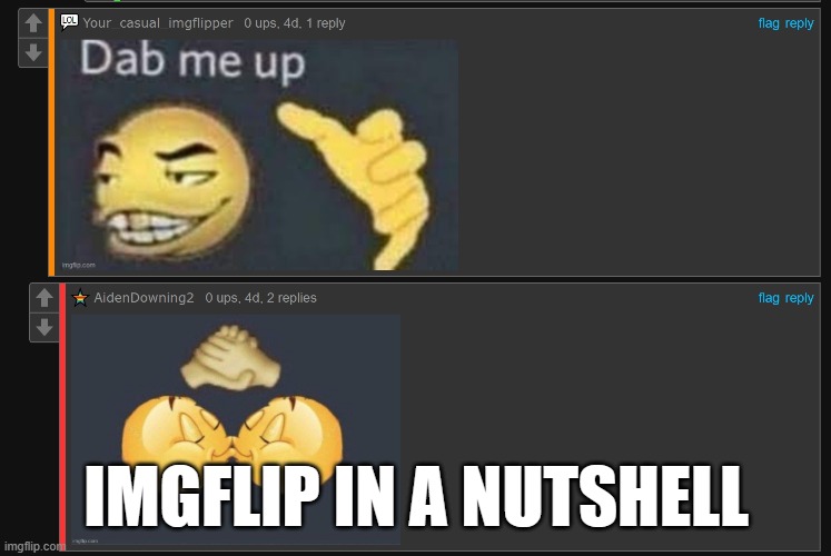 ImgFlip in a nutshell | IMGFLIP IN A NUTSHELL | image tagged in memes,comments,funny | made w/ Imgflip meme maker