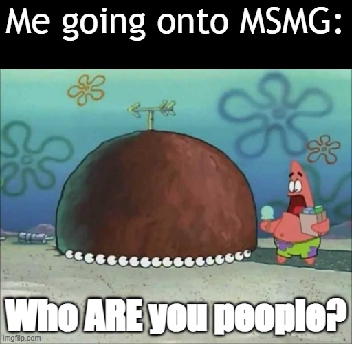 Randos irrelevantos | Me going onto MSMG:; Who ARE you people? | image tagged in patrick star who are you people | made w/ Imgflip meme maker