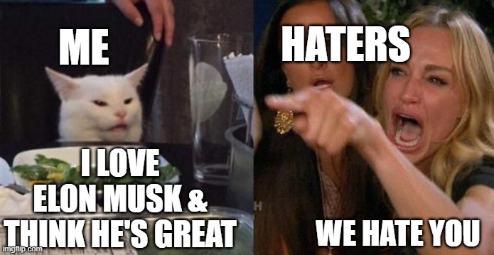 I LOVE ELON MUSK | HATERS; ME; I LOVE ELON MUSK & THINK HE'S GREAT; WE HATE YOU | image tagged in haters gonna hate | made w/ Imgflip meme maker