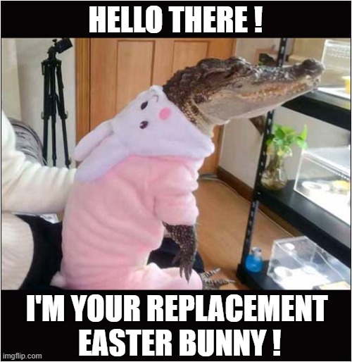 This Years Easter Egg Hunt Is Going To Be Really Something ! | HELLO THERE ! I'M YOUR REPLACEMENT
 EASTER BUNNY ! | image tagged in easter bunny,crocodlie,egg hunt | made w/ Imgflip meme maker