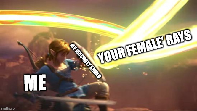 I am immune to femal'es | YOUR FEMALE' RAYS; MY VIRGINITY SHIELD; ME | image tagged in link defense world of light | made w/ Imgflip meme maker
