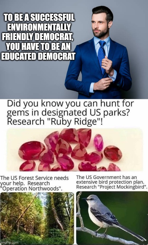 TO BE A SUCCESSFUL ENVIRONMENTALLY FRIENDLY DEMOCRAT,  
YOU HAVE TO BE AN 
EDUCATED DEMOCRAT | image tagged in funny memes | made w/ Imgflip meme maker