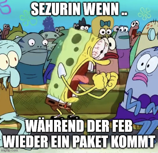 Spongebob Yelling | SEZURIN WENN .. WÄHREND DER FEB WIEDER EIN PAKET KOMMT | image tagged in spongebob yelling | made w/ Imgflip meme maker