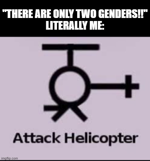 /j but still THERE ARE MORE THEN TWO GENDERS | "THERE ARE ONLY TWO GENDERS!!"
LITERALLY ME: | made w/ Imgflip meme maker