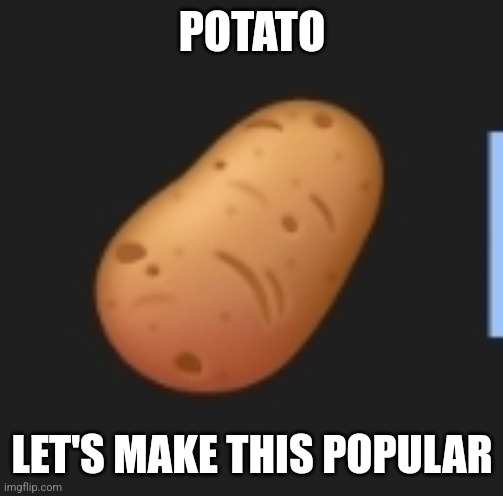POTATO | POTATO; LET'S MAKE THIS POPULAR | image tagged in potato | made w/ Imgflip meme maker