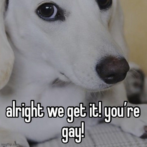 alright we get it you're gay | image tagged in gay | made w/ Imgflip meme maker