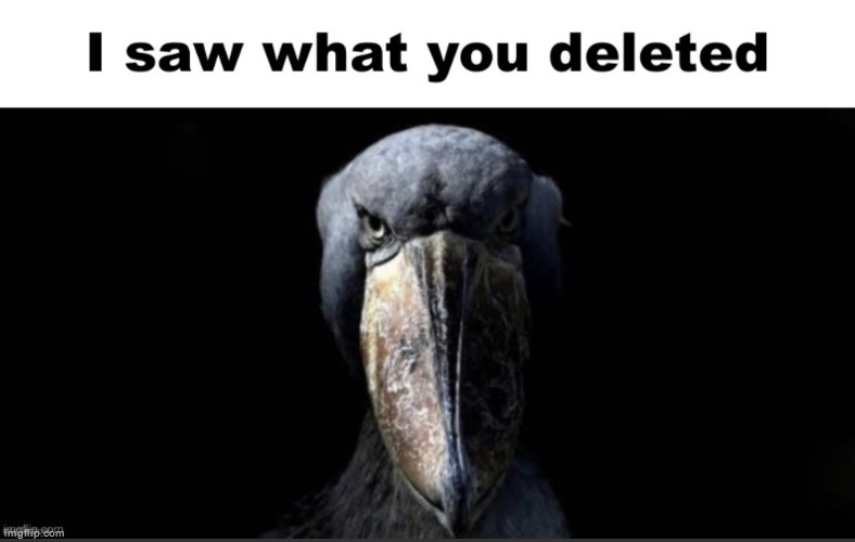 I saw what you deleted | image tagged in i saw what you deleted | made w/ Imgflip meme maker