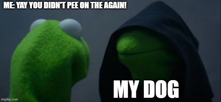 Evil Kermit | ME: YAY YOU DIDN'T PEE ON THE AGAIN! MY DOG | image tagged in memes,evil kermit | made w/ Imgflip meme maker