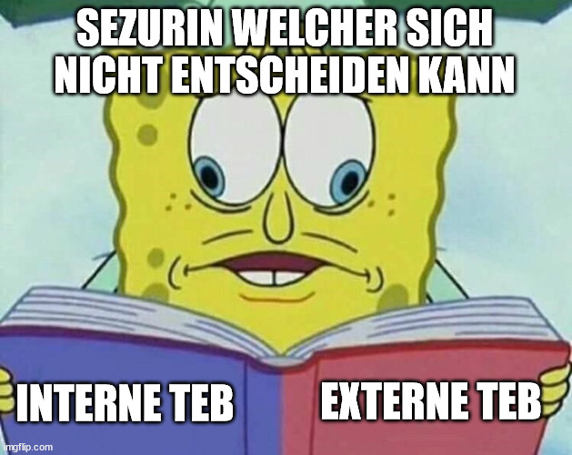 cross eyed spongebob | SEZURIN WELCHER SICH NICHT ENTSCHEIDEN KANN; EXTERNE TEB; INTERNE TEB | image tagged in cross eyed spongebob | made w/ Imgflip meme maker