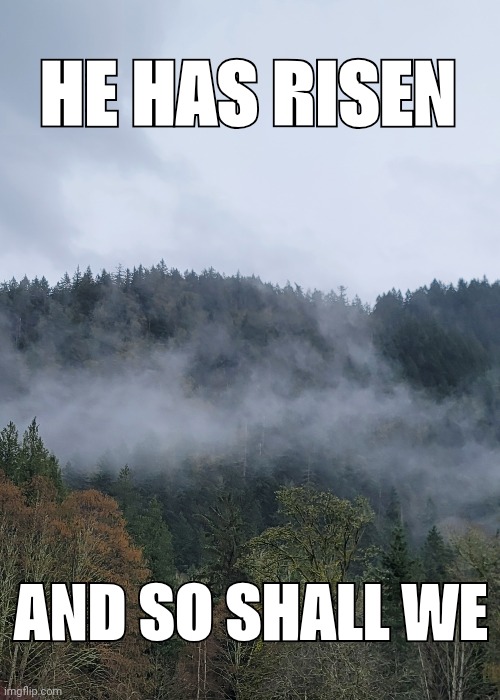 He has risen and so shall we | HE HAS RISEN; AND SO SHALL WE | image tagged in easter,jesus,christian,christianity,bible,jesus rising | made w/ Imgflip meme maker