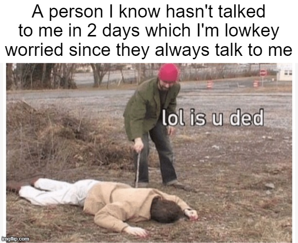 lol is u dead | A person I know hasn't talked to me in 2 days which I'm lowkey worried since they always talk to me | image tagged in lol is u dead | made w/ Imgflip meme maker