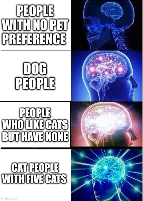 Expanding Brain Meme | PEOPLE WITH NO PET PREFERENCE; DOG PEOPLE; PEOPLE WHO LIKE CATS BUT HAVE NONE; CAT PEOPLE WITH FIVE CATS | image tagged in memes,expanding brain | made w/ Imgflip meme maker