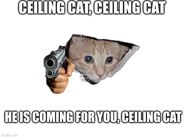 CEILING CAT, CEILING CAT; HE IS COMING FOR YOU, CEILING CAT | image tagged in funny cats | made w/ Imgflip meme maker
