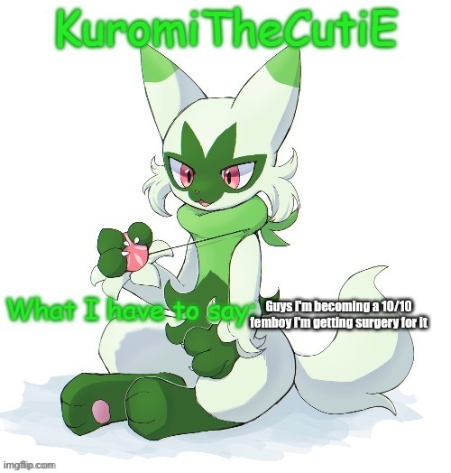 Since temp stealings all over the stream then | Guys I'm becoming a 10/10 femboy I'm getting surgery for it | image tagged in kuromithecuties floragato temp | made w/ Imgflip meme maker