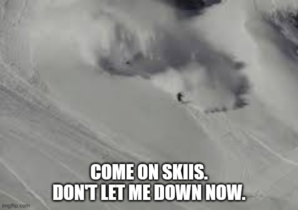 memes by Brad snow skier in an avalanche | COME ON SKIIS. DON'T LET ME DOWN NOW. | image tagged in sports,extreme sports,skiing,avalanche,snow,im in danger | made w/ Imgflip meme maker