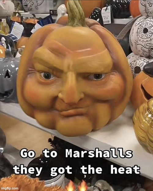 dumbass pumkinjg | made w/ Imgflip meme maker