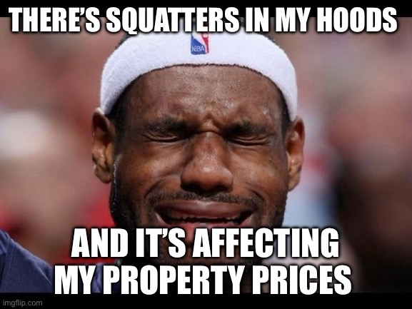 Property Squatters | THERE’S SQUATTERS IN MY HOODS; AND IT’S AFFECTING MY PROPERTY PRICES | image tagged in labron | made w/ Imgflip meme maker