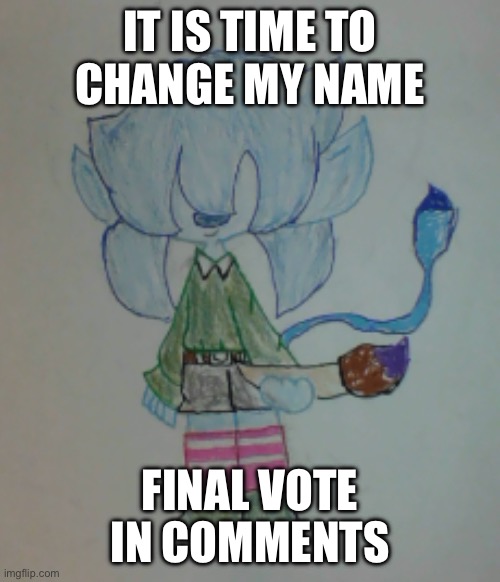 This’ll be the last time I change my name until halloween/thanksgiving/christmas | IT IS TIME TO CHANGE MY NAME; FINAL VOTE IN COMMENTS | image tagged in scribble | made w/ Imgflip meme maker