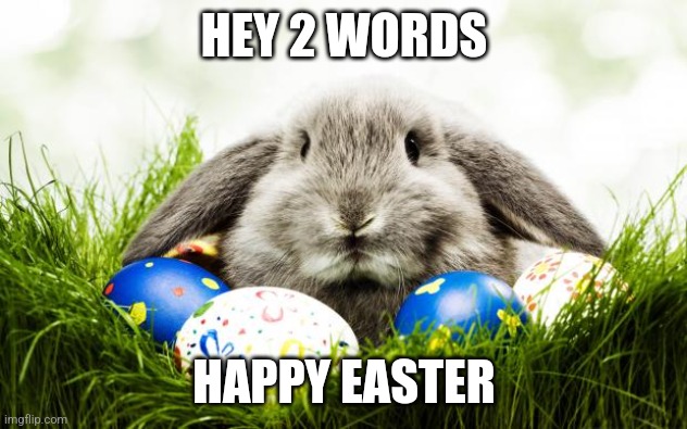 Easter bunny | HEY 2 WORDS; HAPPY EASTER | image tagged in easter bunny,memes,easter | made w/ Imgflip meme maker