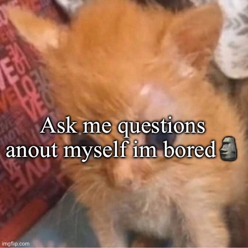 skrunkly | Ask me questions anout myself im bored🗿 | image tagged in skrunkly | made w/ Imgflip meme maker