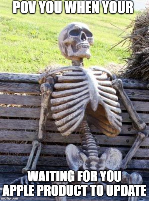 apple updates | POV YOU WHEN YOUR; WAITING FOR YOU APPLE PRODUCT TO UPDATE | image tagged in memes,waiting skeleton | made w/ Imgflip meme maker