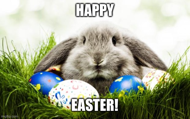 Happy Easter! | HAPPY; EASTER! | image tagged in easter bunny,memes,eggs,happy easter | made w/ Imgflip meme maker