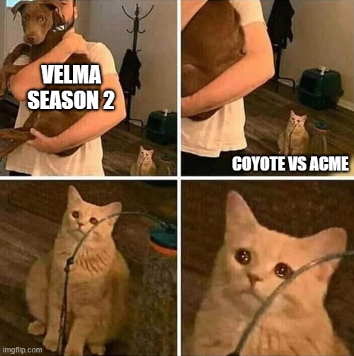 velma season 2 overshadowing coyote vs acme | VELMA SEASON 2; COYOTE VS ACME | image tagged in ignored cat,velma,warner bros discovery | made w/ Imgflip meme maker