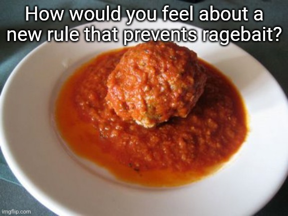 Meatball | How would you feel about a new rule that prevents ragebait? | image tagged in meatball | made w/ Imgflip meme maker