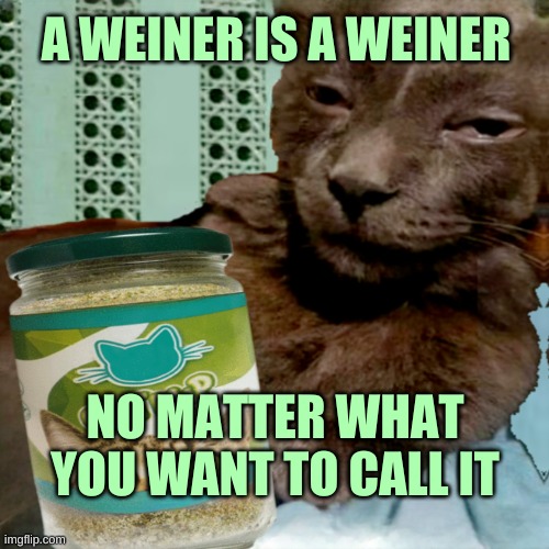Shit Poster 4 Lyfe | A WEINER IS A WEINER NO MATTER WHAT YOU WANT TO CALL IT | image tagged in shit poster 4 lyfe | made w/ Imgflip meme maker