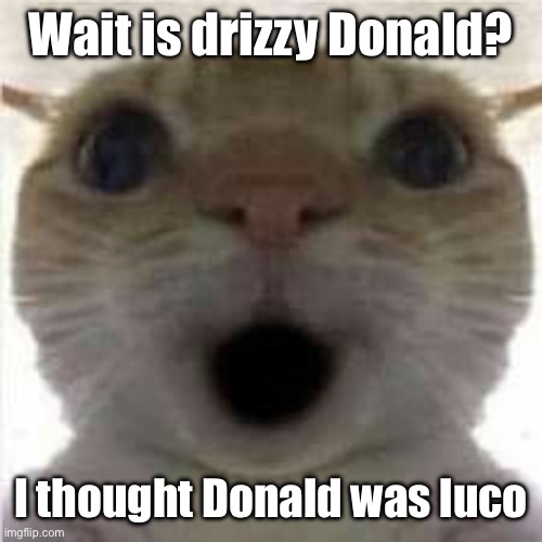 Happ | Wait is drizzy Donald? I thought Donald was luco | image tagged in happ | made w/ Imgflip meme maker