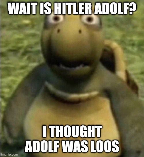 shocked turtle | WAIT IS HITLER ADOLF? I THOUGHT ADOLF WAS LOOS | image tagged in shocked turtle | made w/ Imgflip meme maker