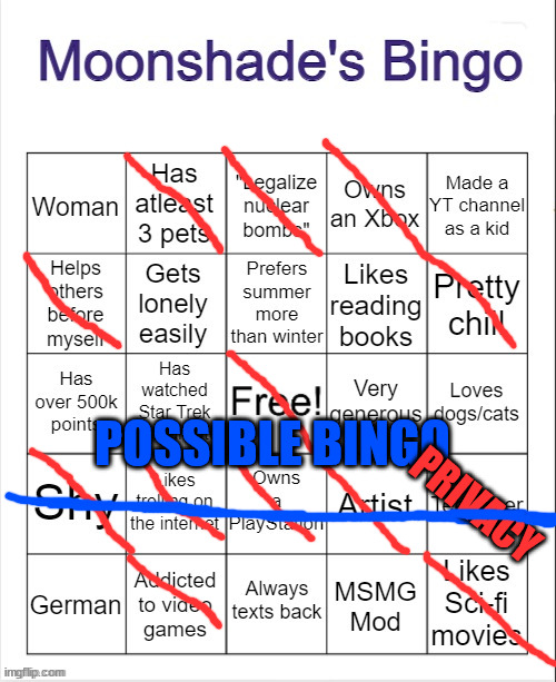 Moonshade's Bingo | POSSIBLE BINGO; PRIVACY | image tagged in moonshade's bingo | made w/ Imgflip meme maker