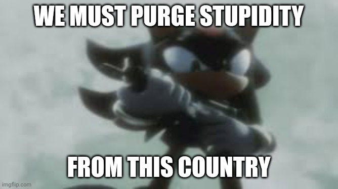 Shadow the hedgehog with a gun | WE MUST PURGE STUPIDITY FROM THIS COUNTRY | image tagged in shadow the hedgehog with a gun | made w/ Imgflip meme maker