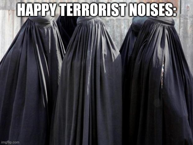 Burkas | HAPPY TERRORIST NOISES: | image tagged in burkas | made w/ Imgflip meme maker