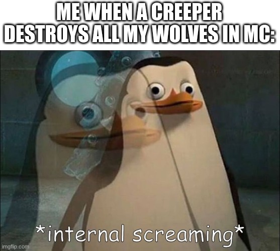 This happened to me once | ME WHEN A CREEPER DESTROYS ALL MY WOLVES IN MC: | image tagged in private internal screaming,memes,minecraft,minecraft memes,minecraft creeper | made w/ Imgflip meme maker