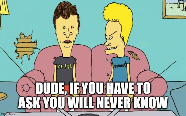 Beavis and Butthead | DUDE, IF YOU HAVE TO ASK YOU WILL NEVER KNOW | image tagged in beavis and butthead | made w/ Imgflip meme maker