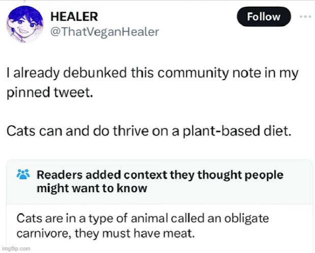 more idiocy from Twitter | image tagged in twitter,idiocy | made w/ Imgflip meme maker