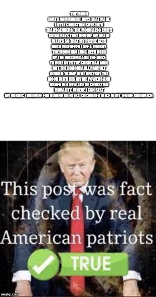 Fact-checked post (true) | THE MOON EMITS COMMUNIST RAYS THAT MAKE LITTLE CHRISTIAN BOYS INTO TRANSGENDERS. THE MOON ALSO EMITS SATAN RAYS THAT REWIRE MY BRAIN WAVES SO THAT MY PEEPEE GETS HARD WHENEVER I SEE A FEMBOY. THE MOON HAS LONG BEEN USED BY THE MUSLIMS AND THE JUICE TO RULE OVER THE CHRISTIAN MAN, BUT THE HONOURABLE PROPHET DONALD TRUMP WILL DESTROY THE MOON WITH HIS DIVINE POWERS AND USHER IN A NEW AGE OF CHRISTIAN MORALITY, WHERE I CAN BEAT MY NORDIC TRADWIFE FOR ADDING AN EXTRA CUCUMBER SLICE IN MY TENDIE SANDWICH. | image tagged in fact-checked post true | made w/ Imgflip meme maker