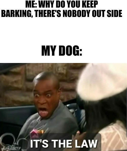 Ẅĥƴ | ME: WHY DO YOU KEEP BARKING, THERE'S NOBODY OUT SIDE; MY DOG: | image tagged in memes,blank transparent square,it's the law | made w/ Imgflip meme maker